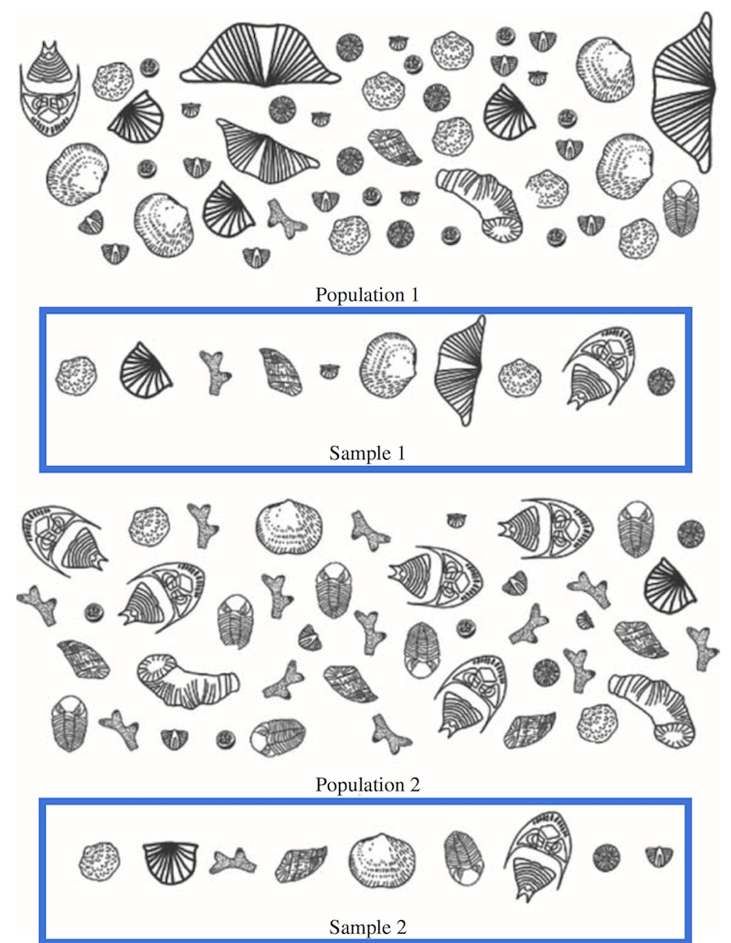 Random samples from different populations