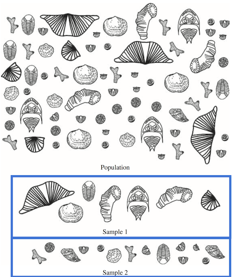 Random samples of a population